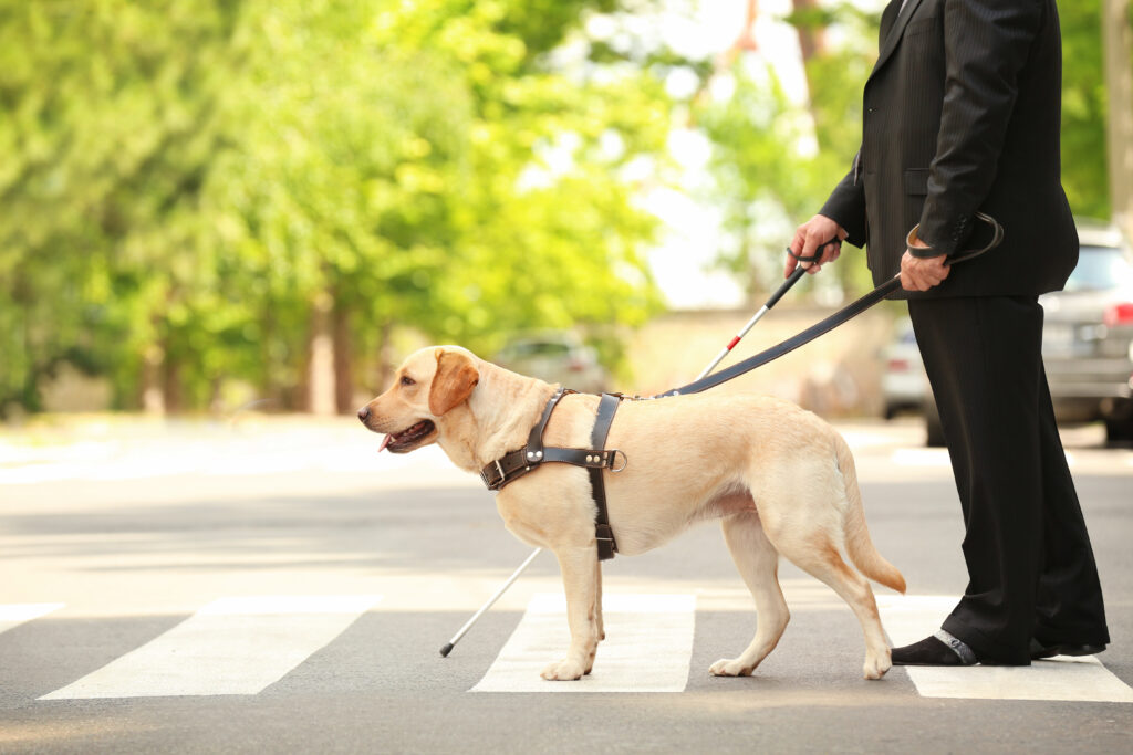 https://ticketbusters.com/wp-content/uploads/2023/03/blind-man-with-a-cane-and-a-service-dog-helping-him-cross-the-street-1024x683.jpeg